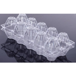 PGS 10'LU YUMURTA VİYOLÜ