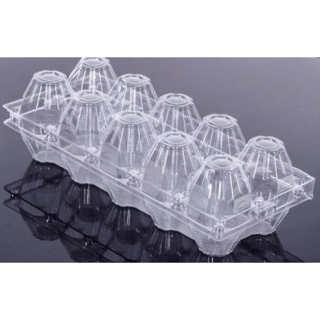 PGS 10'LU YUMURTA VİYOLÜ