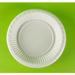 PLASTİK TABAK 170